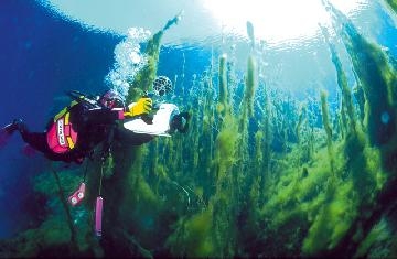 Blu di Puglia, ambienti e itinerari sommersi intorno al Salento