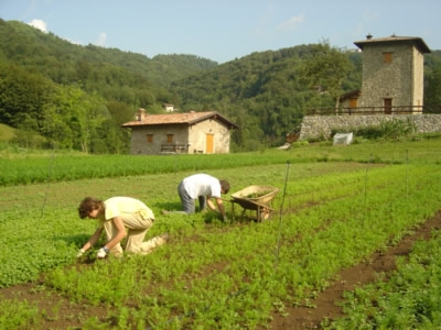 agricoltori