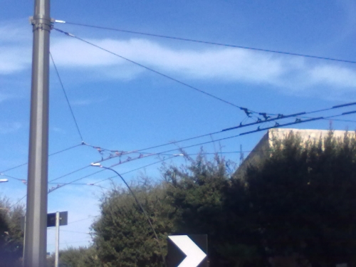 La maledizione del filobus