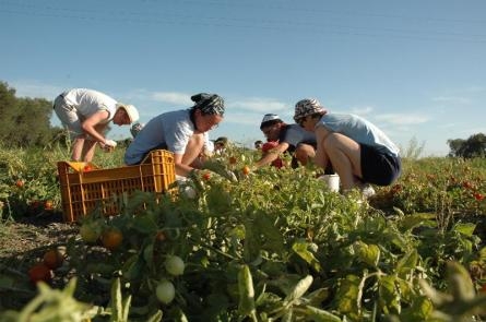 confagricoltura puglia
