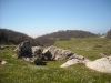 monte cozzo cervello