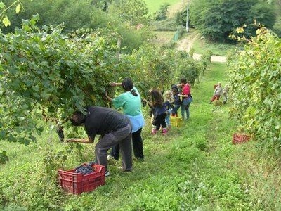 lavoro