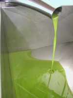 Agricoltura, aperto tavolo regionale per crisi olio e grano