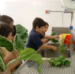 educazione alimentare