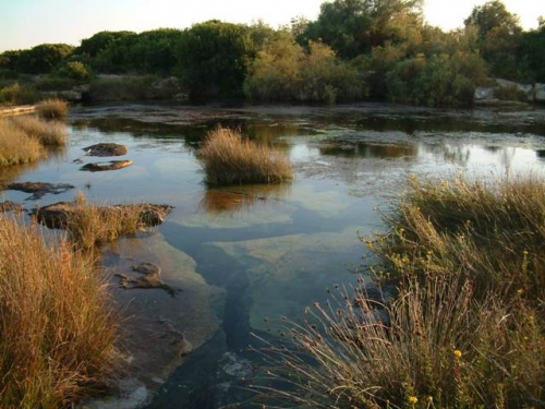 Nardò, Meeting finale AM.JO.WE.L.S