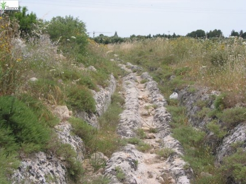 via francigena