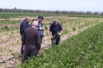 Coronavirus. Coldiretti Puglia, campagne in tilt per difficoltà...