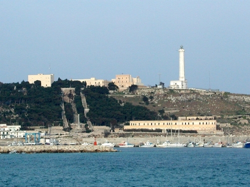 leuca