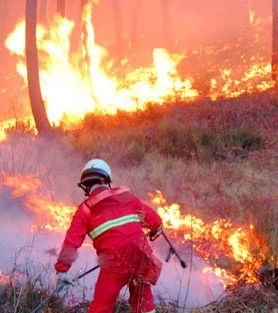Provincia di Taranto, due fuoristrada per fronteggiare gli incendi...