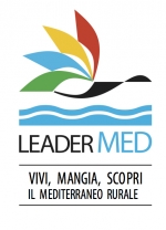 Leader Med