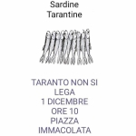 sardine