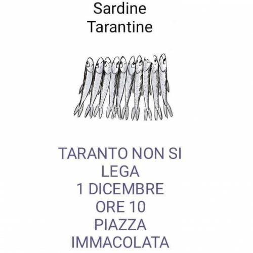sardine