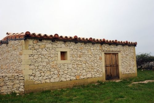 museo cavallino