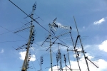 Antenna selvaggia