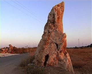 Novità interessanti nell'area archeologica "Apigliani" di...