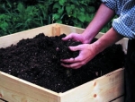 Compost
