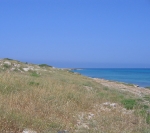 Parco di Punta Pizzo Gallipoli, il Tar di Lecce dà ragione alla...