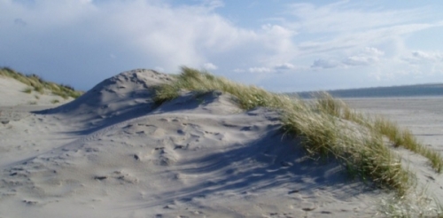 Erosione dune