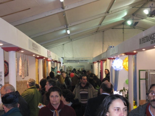 Conclusa la Festa di Santa Lucia ad Erchie