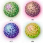 hpv