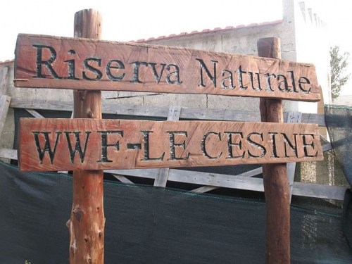 Le Cesine, in Puglia, vince il premio degli appassionati di natura