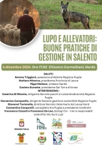 Nove branchi di lupi nel Salento, lo studio e la protezione