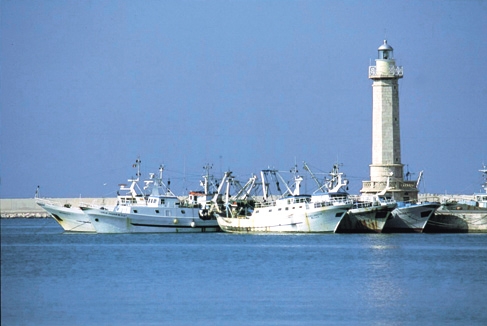Marineria molfettese in stato di agitazione, Azzolini: servono...