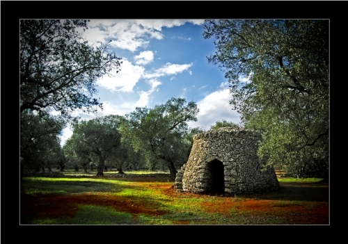 Fotografie dell'artista Vincenzo Perrone in esposizione a Roma