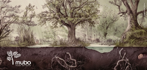 Supersano, inaugurazione del Museo del Bosco