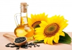 olio di girasole