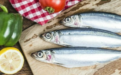 pesce azzurro