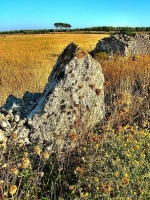 Melpignano, il Forum Ambiente e Salute: il sindaco ririti le...