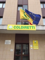 sede coldiretti