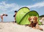 A San Cataldo la prima Dog Beach del Salento. Gratis fino ad Agosto