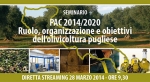 Ruolo, organizzazione e obiettivi dell'olivicoltura pugliese